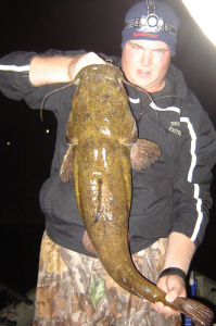 16 lb. Flathead Catfish